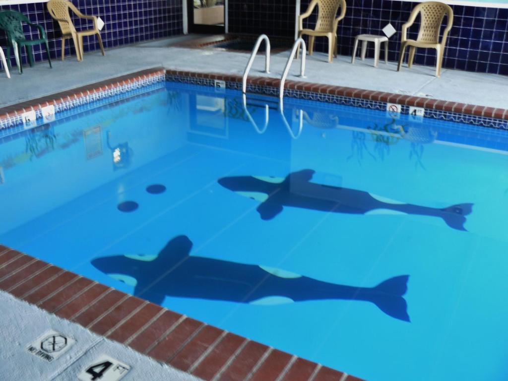 Super 8 By Wyndham Motel 3*